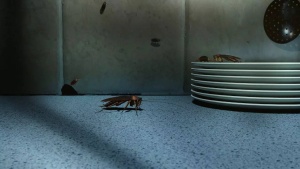 7 easy hacks to stop cockroaches from entering your kitchen
