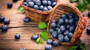 Kidney-Friendly Fruits: Top 5 Choices for Boosting Renal Health Naturally