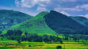 Escape the Heat: Discover 6 Refreshing Hill Stations in Andhra Pradesh
Or
Andhra Pradesh's Cool Escapes: 6 Hill Stations Offering Respite from the Plains
Or
Beyond the Temples: Unveiling Andhra Pradesh's 6 Best Hill Station Getaways