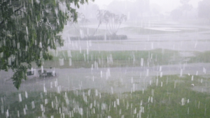 Hearing Health Alert: Why Experts Urge Avoiding Earphones in Rainy Weather
