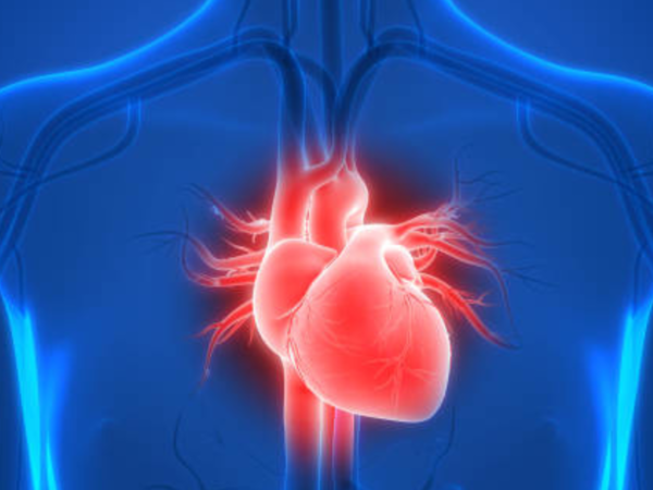 Illustration of the benefits of hydration for a healthy heart