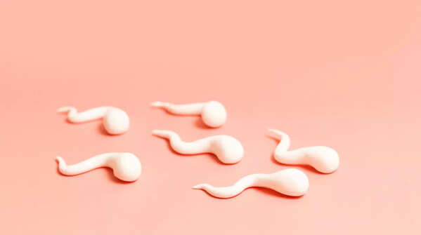 Ultra-processed foods are polluted with endocrine disruptors