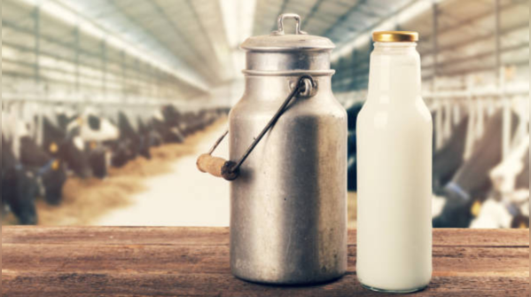 What about milk and dairy?