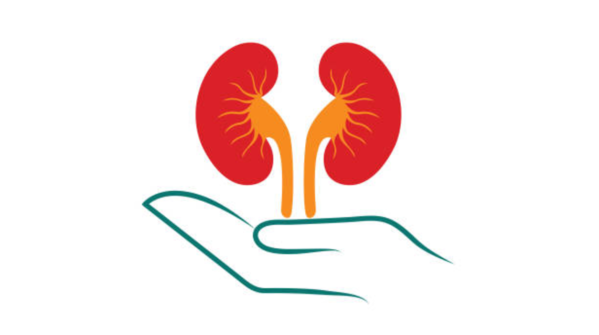 Foods that harm the kidneys