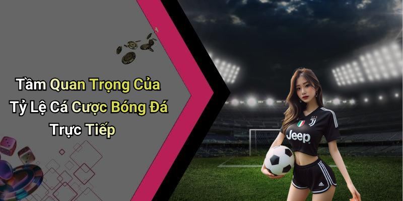 Live Soccer Betting Odds: How to Get the Latest Information