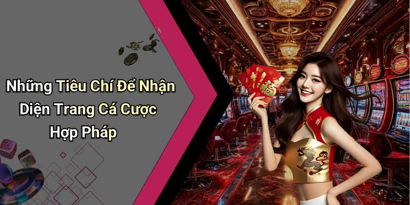 Những Tiêu Chí Để Nhận Diện Trang Cá Cược Hợp Pháp