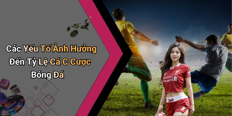 Các Yếu Tố Ảnh Hưởng Đến Tỷ Lệ Cá C Cược Bóng Đá